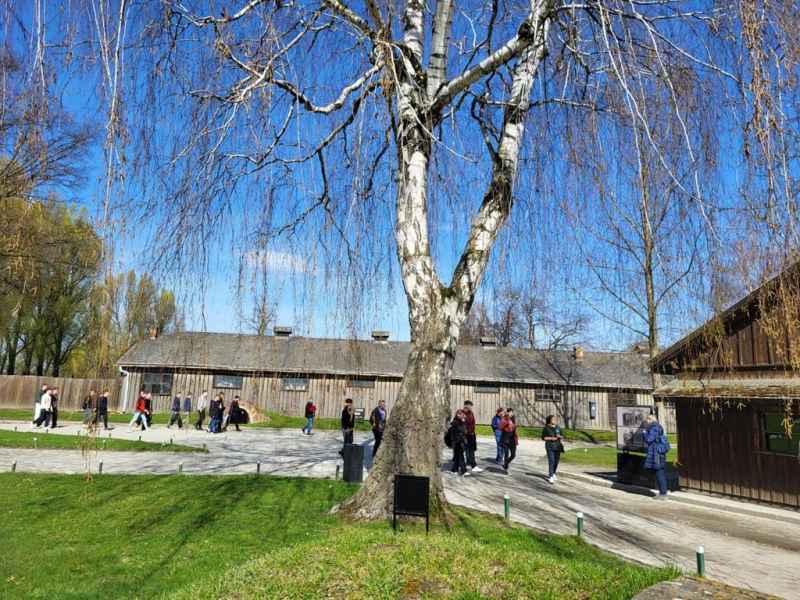 Wizyta kl.8 w Muzeum Auschwitz-Birkenau