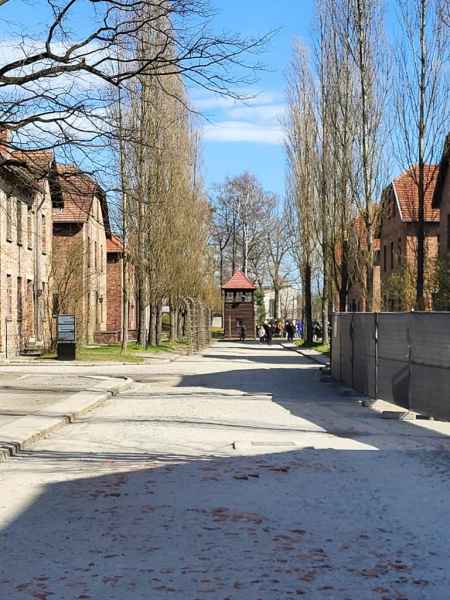 Wizyta kl.8 w Muzeum Auschwitz-Birkenau