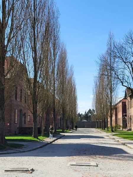 Wizyta kl.8 w Muzeum Auschwitz-Birkenau